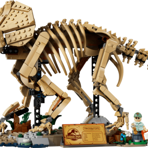 Fósseis de Dinossauros: Triceratops