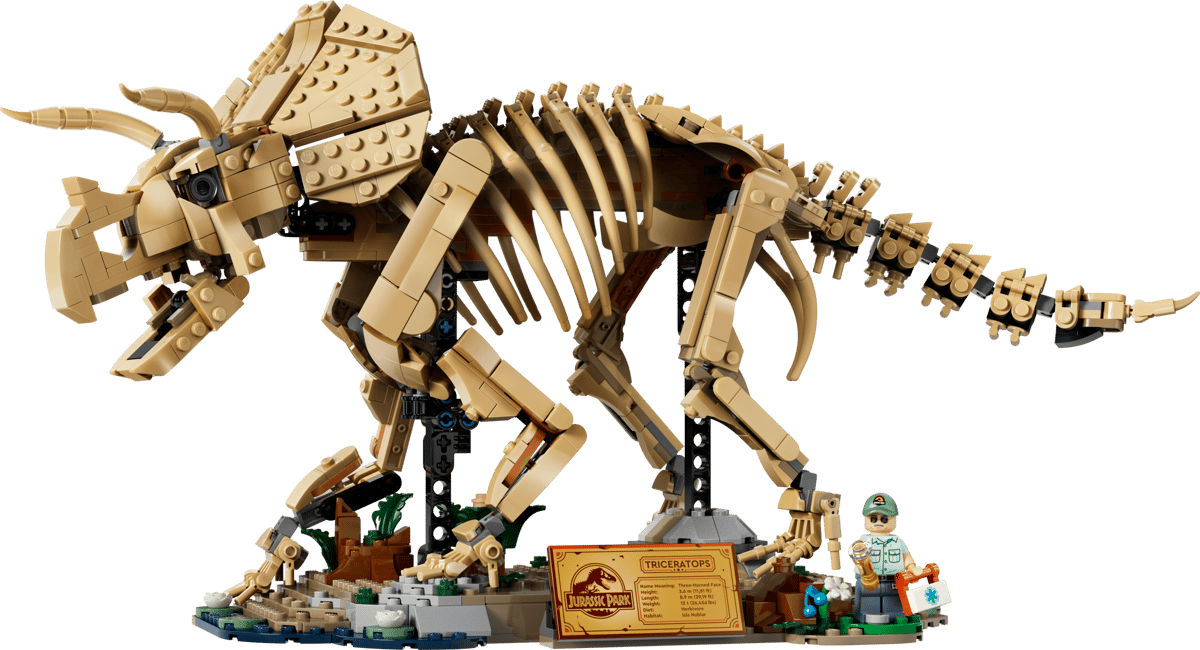 Fósseis de Dinossauros: Triceratops